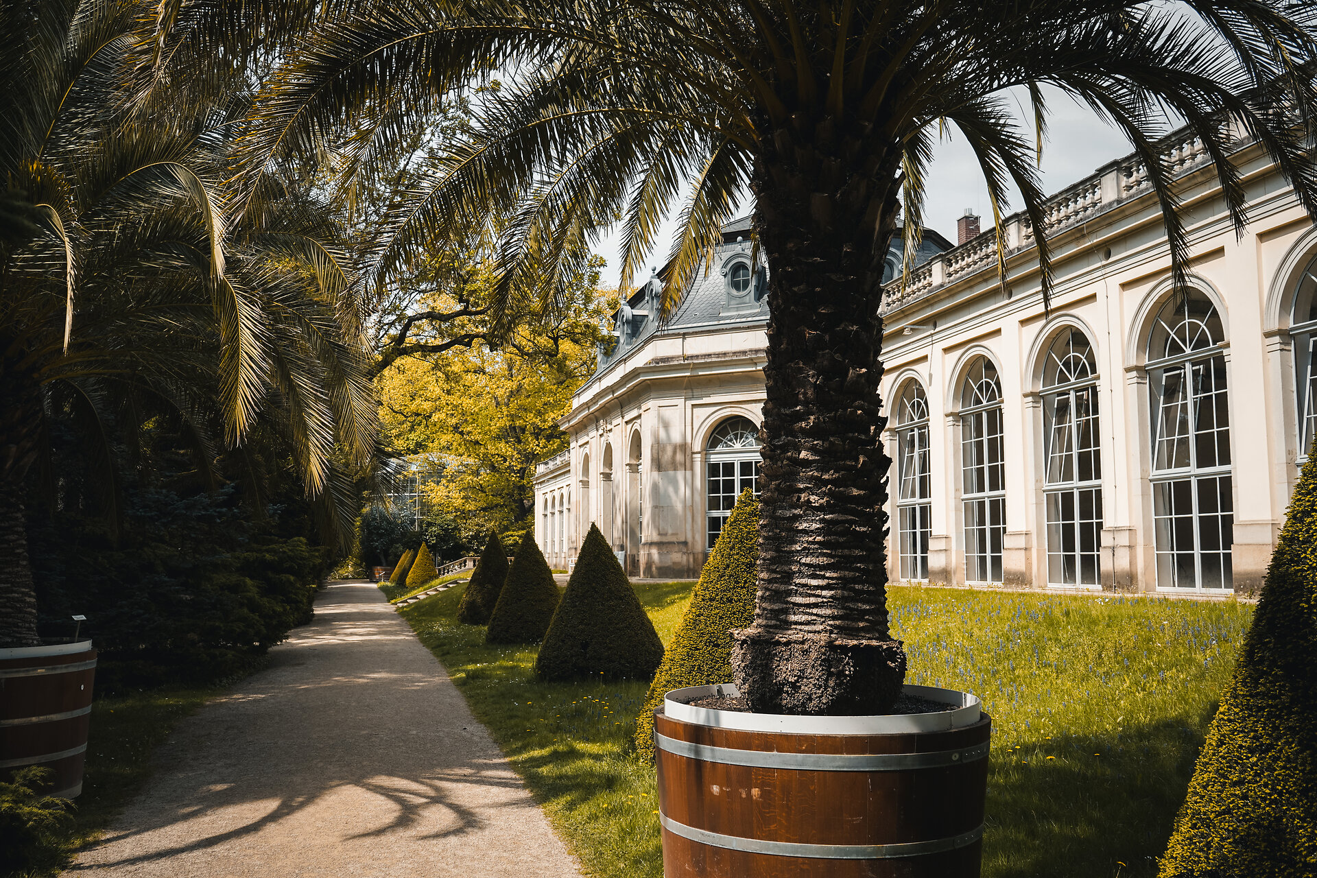 Palmenhaus im Park von Schloss Pillnitz mit exotischen Pflanzen und historischen Gartenwegen.