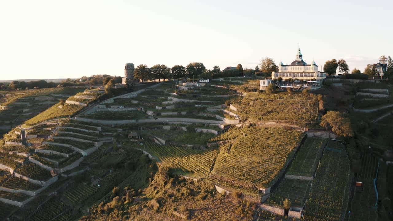Blick vom Bismarckturm über die Weinberge von Radebeul im Dresden Elbland als Video Snippet.